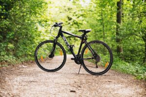bicycle, bike, forest